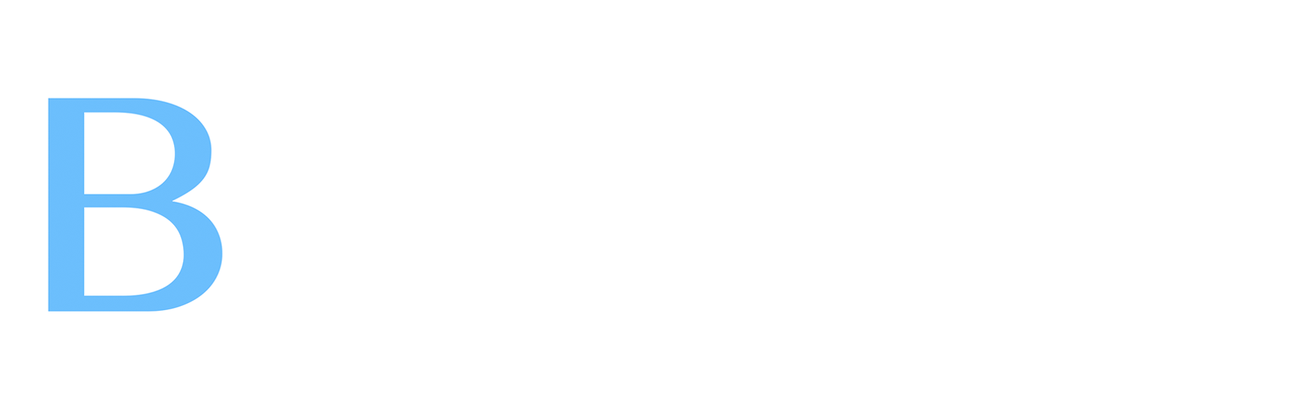 BLEU Real Estate Logo