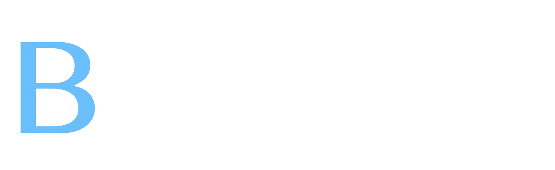 BLEU Real Estate Logo