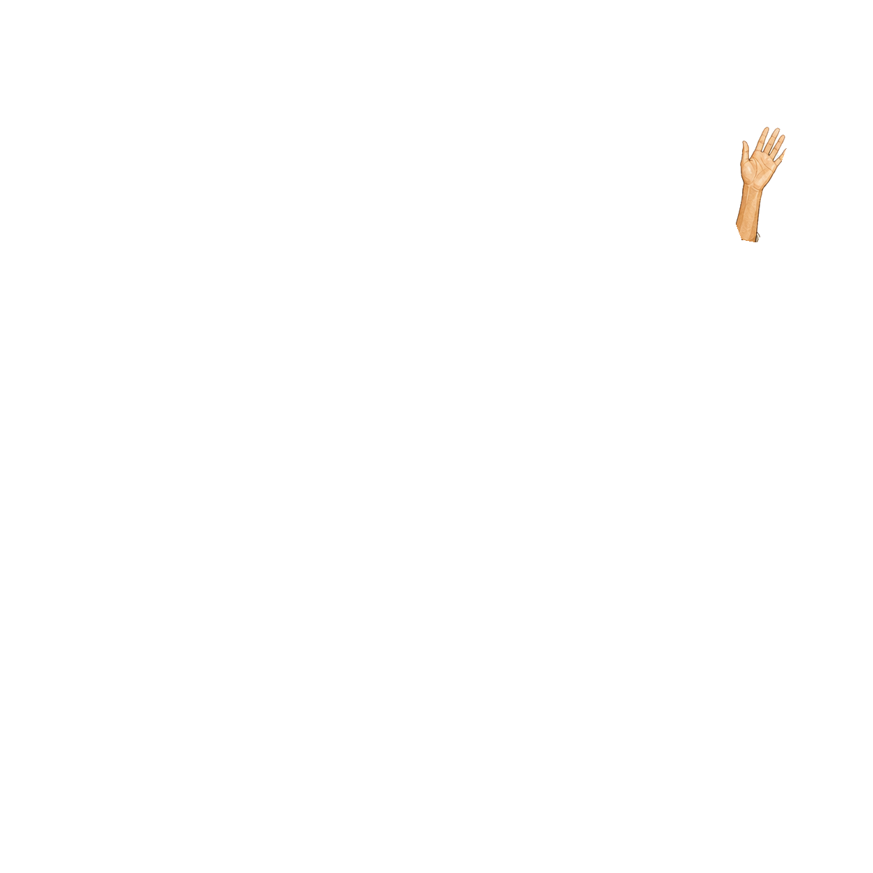 Illustrated outer waving arm for the homeowner celebration animation